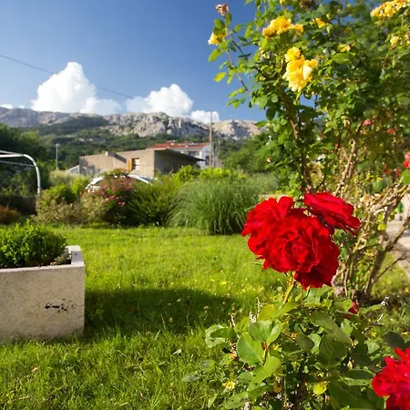 Lejlighed Ivanka Dujmovic *