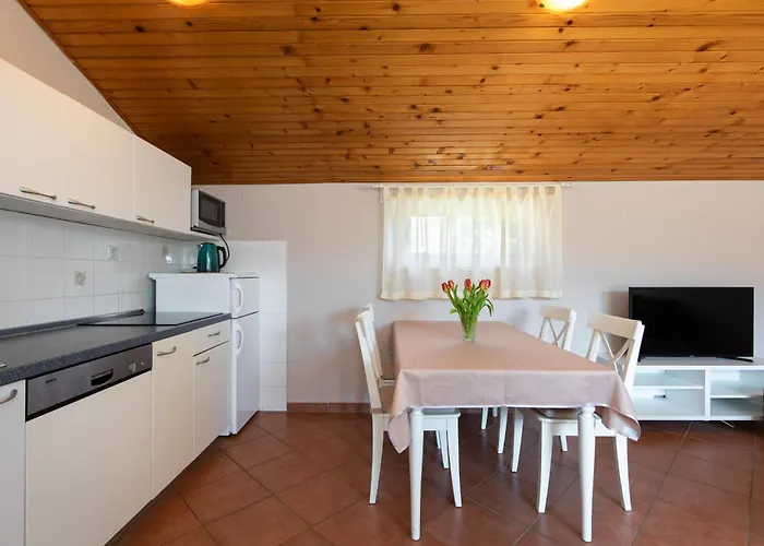 公寓 Ivanka Dujmovic 巴斯卡